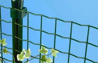Verzamelen applaus Begeleiden Arcoflor - Panelen groen geplastificeerd | Van Rooy & Co's Draadproducten B.V. Verzamelen applaus Begeleiden Arcoflor - Panelen groen geplastificeerd | Van Rooy & Co's Draadproducten B.V.