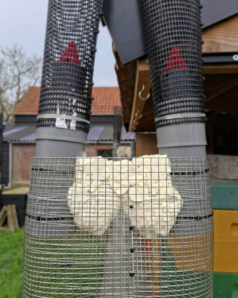 Een val voor de aziatische hornaar om bijen te beschermen