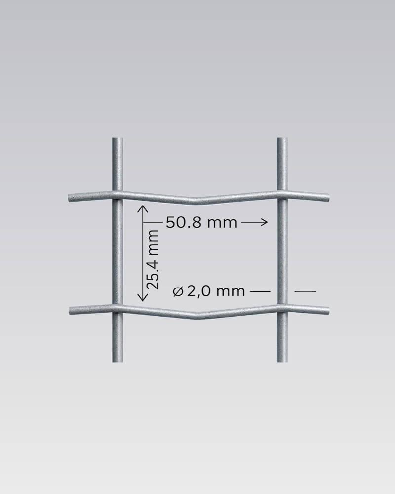 Dassengaas - Afbeelding 2