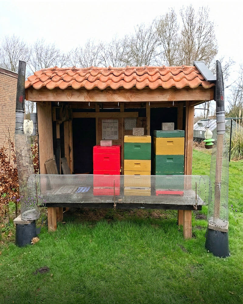 Volledige hornaarval voor de bescherming van bijen