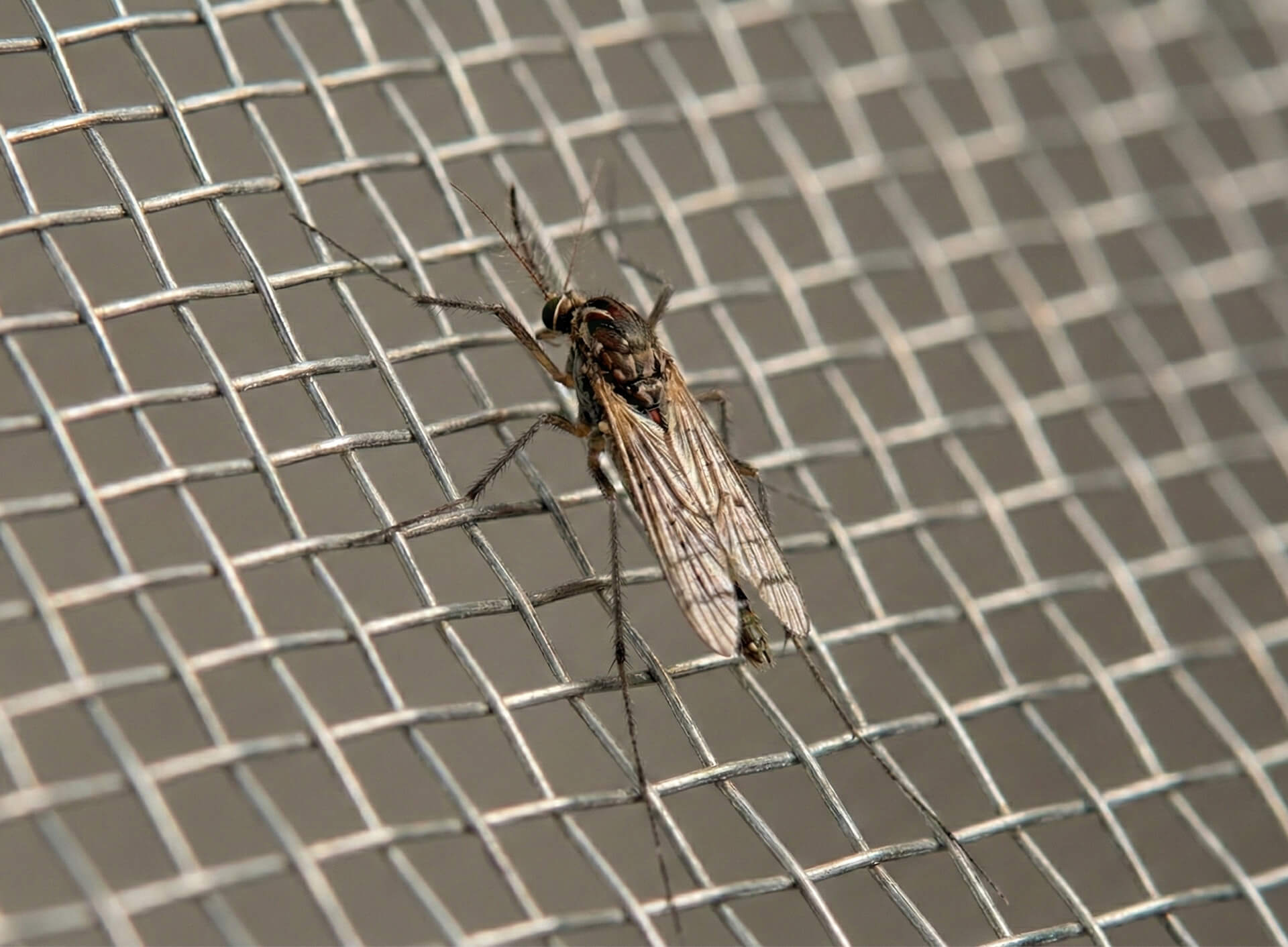 Zelf een hor maken met ons horrengaas: zo doet u dat!